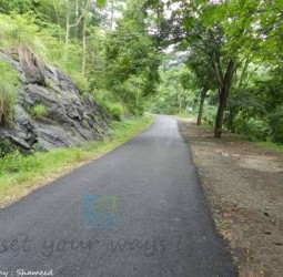 பாதை மாறியது