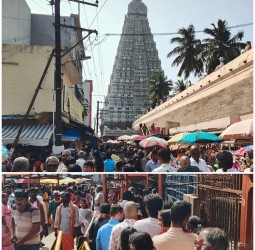 அலைமோதும் கூட்டம்........