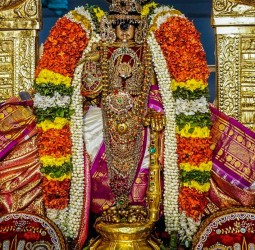ஸ்ரீரங்கம் வைகுண்ட ஏகாதசி பெருவிழா