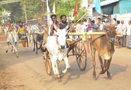 தனியாமங்கலத்தில் 60 ஜோடிகள் பங்கேற்ற மாட்டு வண்டி எல்கை பந்தயம்