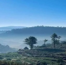 தென்னிந்தியாவில் அதிக குளிர்: உதகை முதலிடம்