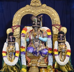 முரளிக்கண்ணன் திருக்கோலத்தில் பார்த்தசாரதி பெருமாள் காட்சி