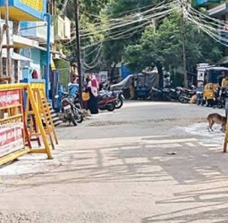 திருப்பரங்குன்றத்தில் சந்தனக்கூடு திருவிழாவை முன்னிட்டு தடுப்புகள் அகற்றப்பட்டு மலைக்கு போகும் பாதை திறப்பு