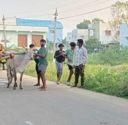 விளாத்திகுளத்தில்நடந்த மாட்டு வண்டி போட்டி