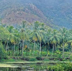 இயற்கைப் போற்றுவோம்