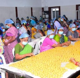 ஒரு லட்சத்து 8 ஆயிரம் பிரசாத லட்டு தயாரிக்கும் பணி