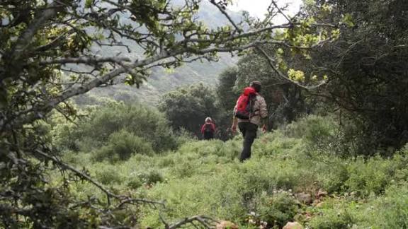 வாழ்ந்துக்காட்டு