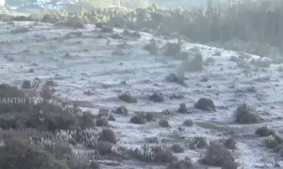 வார விடுமுறை: உறைபனியை அனுபவிக்க ஊட்டியில் குவிந்த சுற்றுலா பயணிகள்