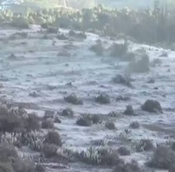 வார விடுமுறை: உறைபனியை அனுபவிக்க ஊட்டியில் குவிந்த சுற்றுலா பயணிகள்