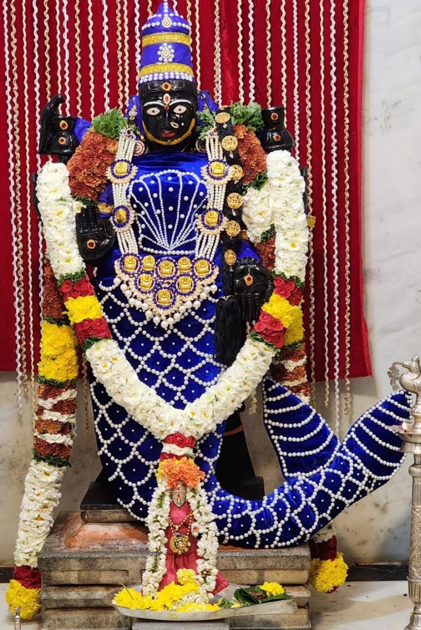 தனுர் மாதம் சிறப்பு வழிபாடு நம் வாசவி அம்மன் மச்ச அவதாரத்தில்.....