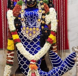 தனுர் மாதம் சிறப்பு வழிபாடு நம் வாசவி அம்மன் மச்ச அவதாரத்தில்.....