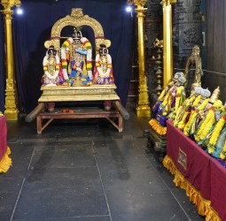 சென்னை திருவல்லிக்கேணி, பார்த்தசாரதி கோயிலில் வைகுண்ட ஏகாதசி திருவிழா