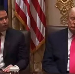 மந்திரிசபை கூட்டத்தில் தூங்கி வழிந்த டிரம்ப் - வீடியோ இணையத்தில் வைரல்