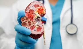 சீறுநீரகவிற்பனை