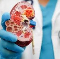 சீறுநீரகவிற்பனை