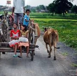 என்னைப்பாடச் சொன்னால்