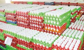 நாமக்கல்: முட்டை கொள்முதல் விலை அதிரடியாக குறைப்பு