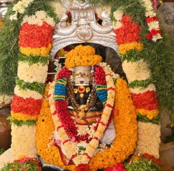 வன்னி விநாயகர் கோயில் கும்பாபிஷேகம்