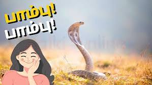 வீடுகளில் பாம்பு புகுந்தால் பிடிக்க 'நாகம்' செயலி அறிமுகம்