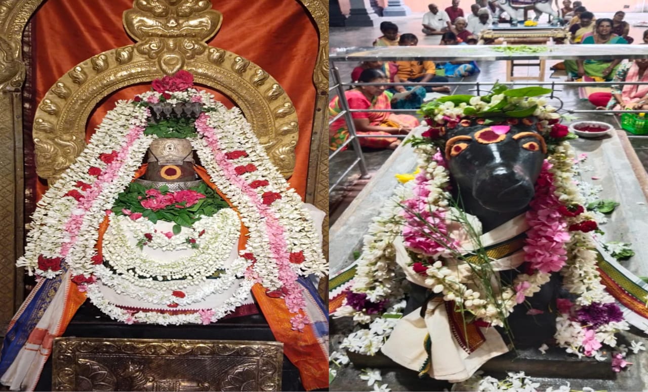 வந்தவாசி பகுதியில் பிரதோஷ வழிபாடு...!