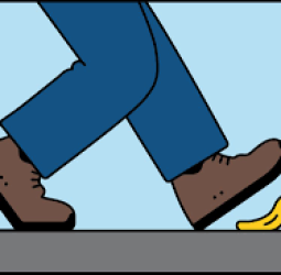 எனக்கு நூறு கால்கள் இருக்கு