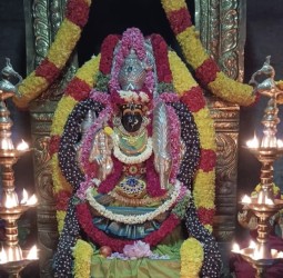 உக்கல் அருள்மிகு ஸ்ரீ காமாட்சி அம்பாள் கோயிலில் மகா ஆரத்தி தரிசனம்: