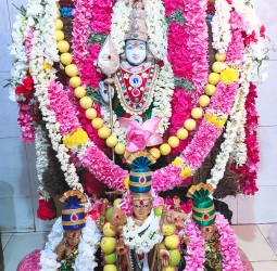 பாசூர் அருள்மிகு ஸ்ரீ காந்தமலை பாலமுருகன் ஆலயத்தில் ஆடி கிருத்திகை பூஜை