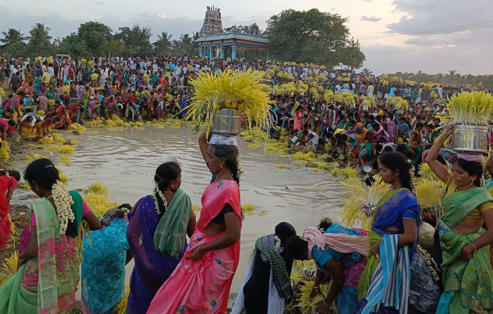 முளைப்பாரி குடங்களை சுமந்தபடி பெண்கள் வலம்