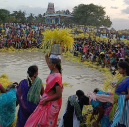 முளைப்பாரி குடங்களை சுமந்தபடி பெண்கள் வலம்