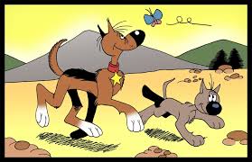 கடைசில இப்படி ஆயிடுச்சே.