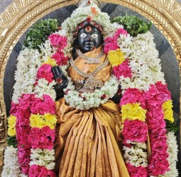 ஸ்ரீ மாணிக்க நாச்சியார் அம்மன் கூழ்வார்த்தல் திருவிழா.........
