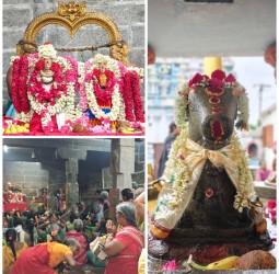 ஆடி மாதம் பிரதோஷம் சிறப்பு வழிபாடு..