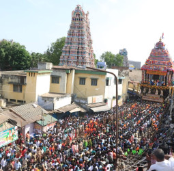 நெல்லையப்பர் கோவில் ஆனித் திருவிழா தேரோட்டம்