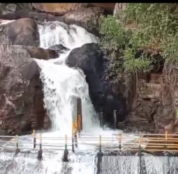 மணிமுத்தாறு அருவியில் குளிக்க தடை