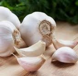 பூண்டின் பிரமாதமான மருத்துவக் குணங்கள்