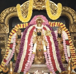 தங்கக்கவச அலங்காரத்தில் அருள்பாலித்த வள்ளி தெய்வானை சமேத பாலமுருகன்