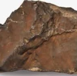 செவ்வாய் கிரக கல்; டைனோசர் எலும்புக்கூடு அமெரிக்காவில் விசித்திர பொருட்கள் ஏலம்