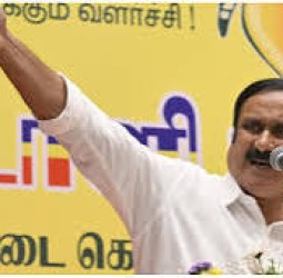 வீடுகளையும், முந்திரிக் காடுகளையும் அழித்துவிட்டு தான் தொழிற்சாலை அமைக்க வேண்டுமா? - அன்புமணி