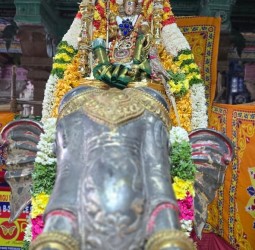துரை மீனாட்சி அம்மன் கோயிலில் ஆடி முளைக்கொட்டுத் திருவிழா