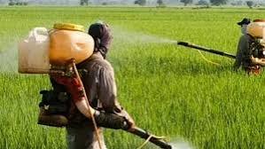 உற்பத்தியை அதிகரிக்க ரூ.24,000 கோடி திட்டம்: மத்திய அமைச்சரவை ஒப்புதல்