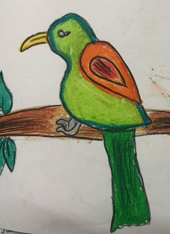 S.V .Vandana கைவண்ணம்