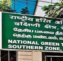 கிண்டி ரேஸ் கிளப்பிடமிருந்து கையகப்படுத்தப்பட்ட நிலத்தில் பூங்கா அமைக்க தடை: பசுமை தீர்ப்பாயம் உத்தரவு