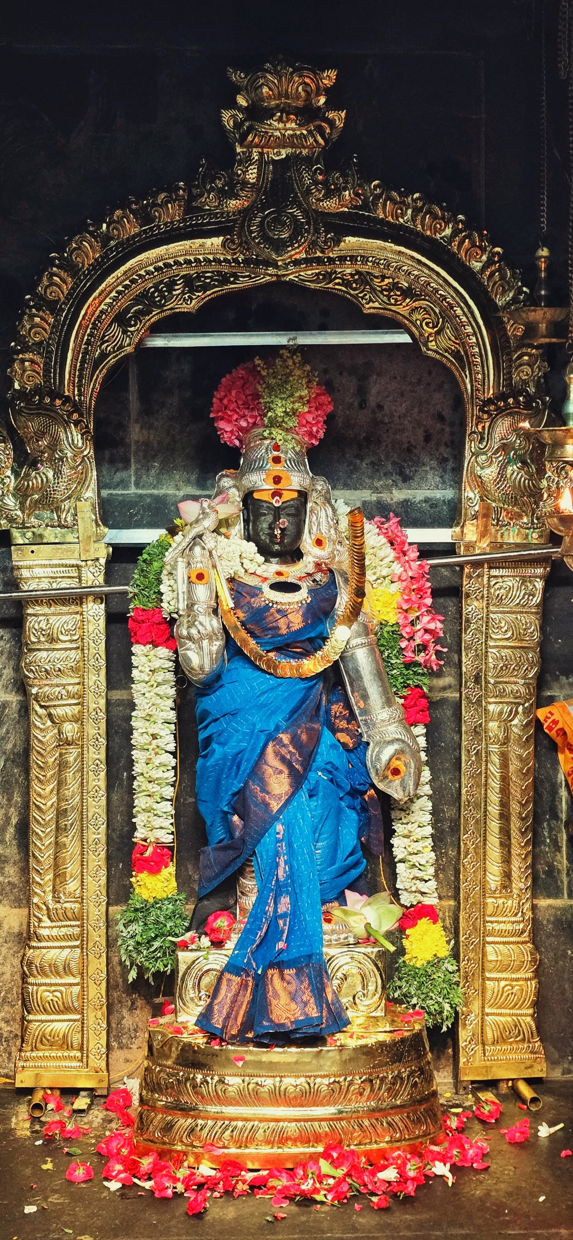 சிறப்பு அலங்காரத்தில் மீனாட்சியம்மன்!
