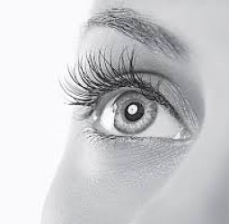 பார்வை தேவைதான்