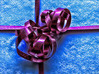 அலட்சியத்திற்கு கிடைத்த பரிசு