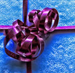 அலட்சியத்திற்கு கிடைத்த பரிசு