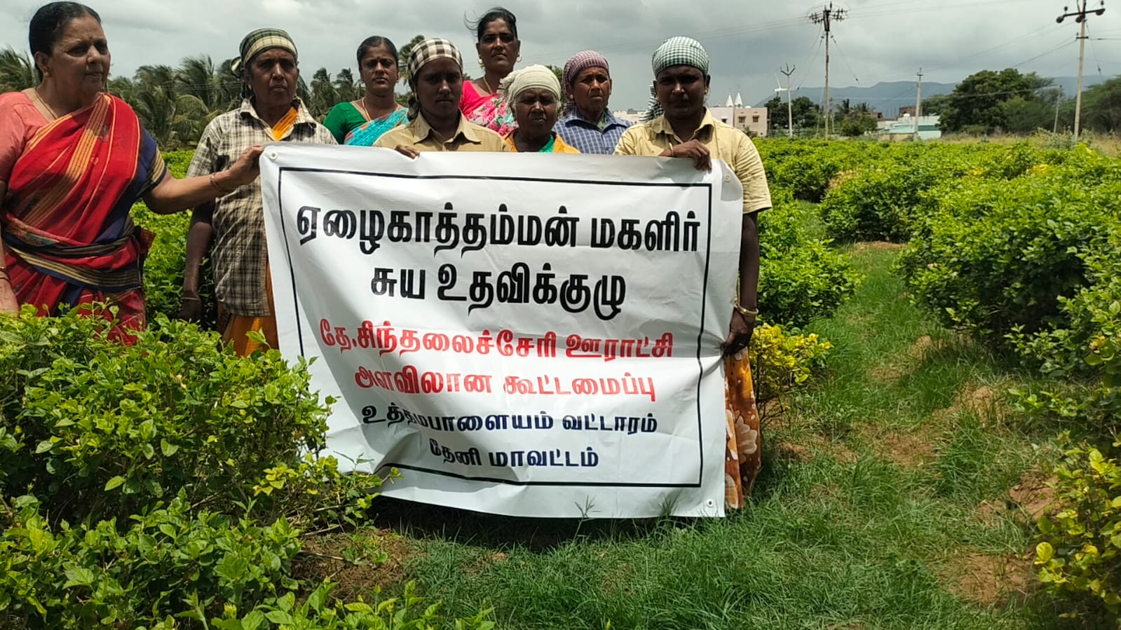 மல்லிகை சாகுபடியில் அசத்தும் மகளிர் சுய உதவி குழுவினர்