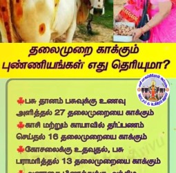 வாழ்வில் தெரிந்துகொள்ள வேண்டியன*