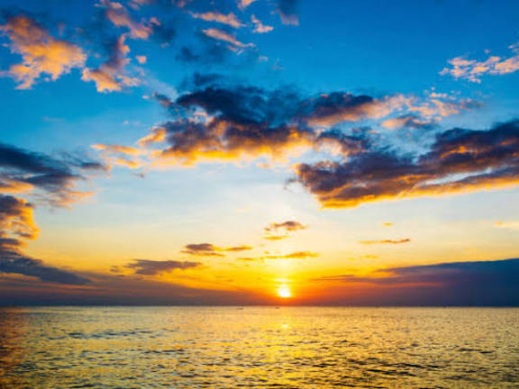 சங்கமிக்கும் உள்ளங்கள்