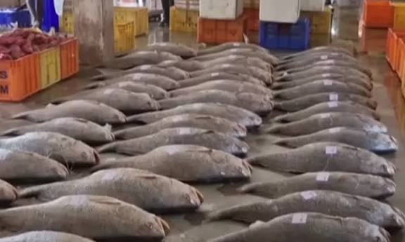 புயல் எச்சரிக்கை தடை முடிந்து கடலுக்கு சென்ற மீனவருக்கு அடித்த அதிர்ஷ்டம்